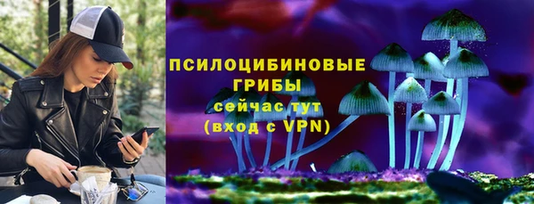 PSILOCYBIN Богородицк